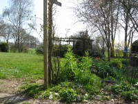 /album/fotos/tuinfotos-001-jpg/